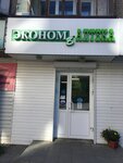 Apteka Ekonom (ulitsa Mendeleyeva, 18), pharmacy