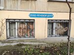 Hearing. and. Speech. Center (Киевская улица, 44), diagnostic center
