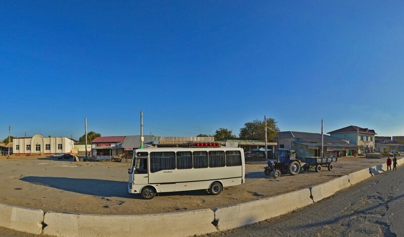 Koylaklar ostida soqollanmagan mushuklarning fotosuratlari