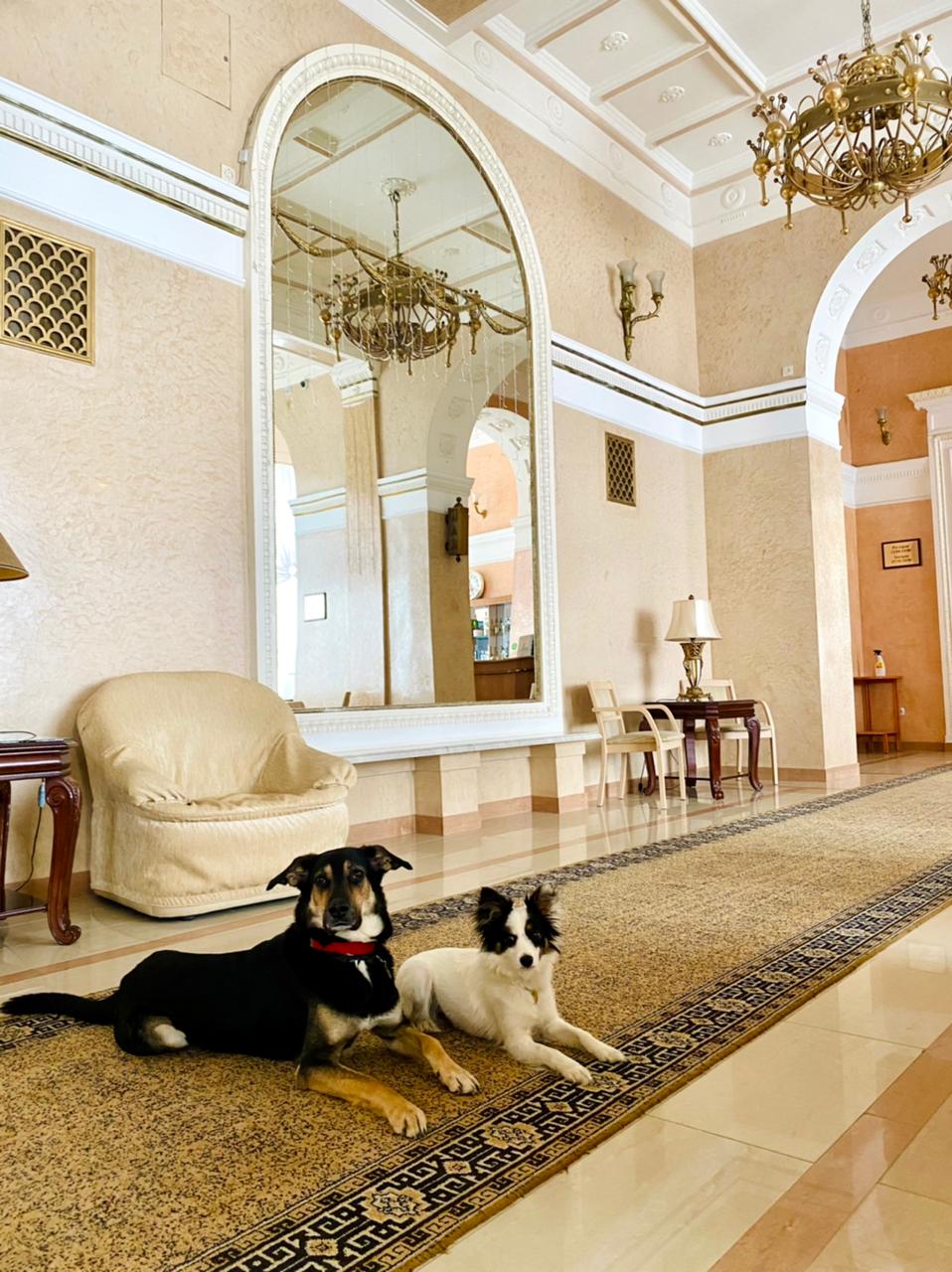 Фото Интурист