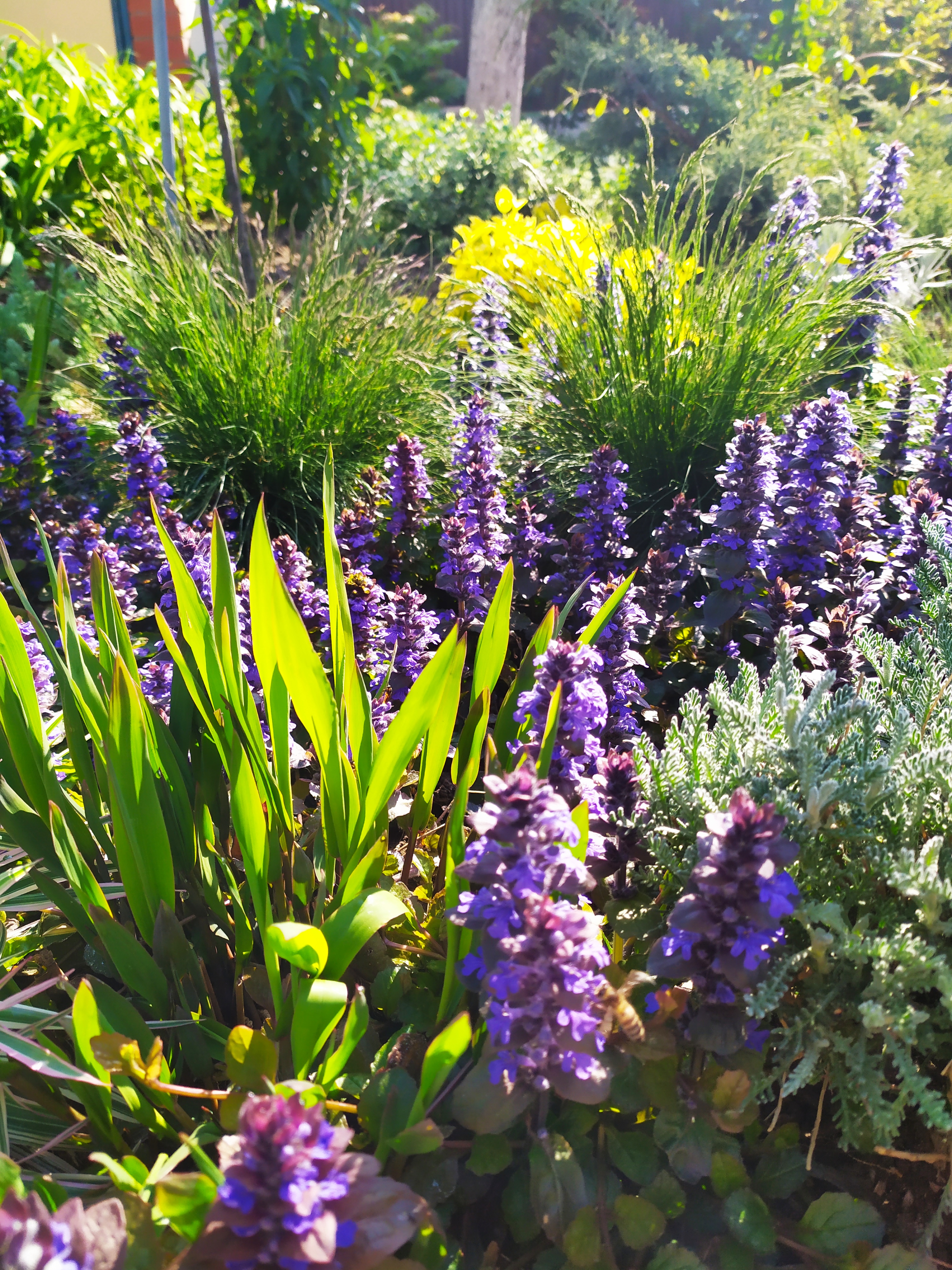 Фото Марианна