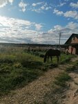 Баня на дровах