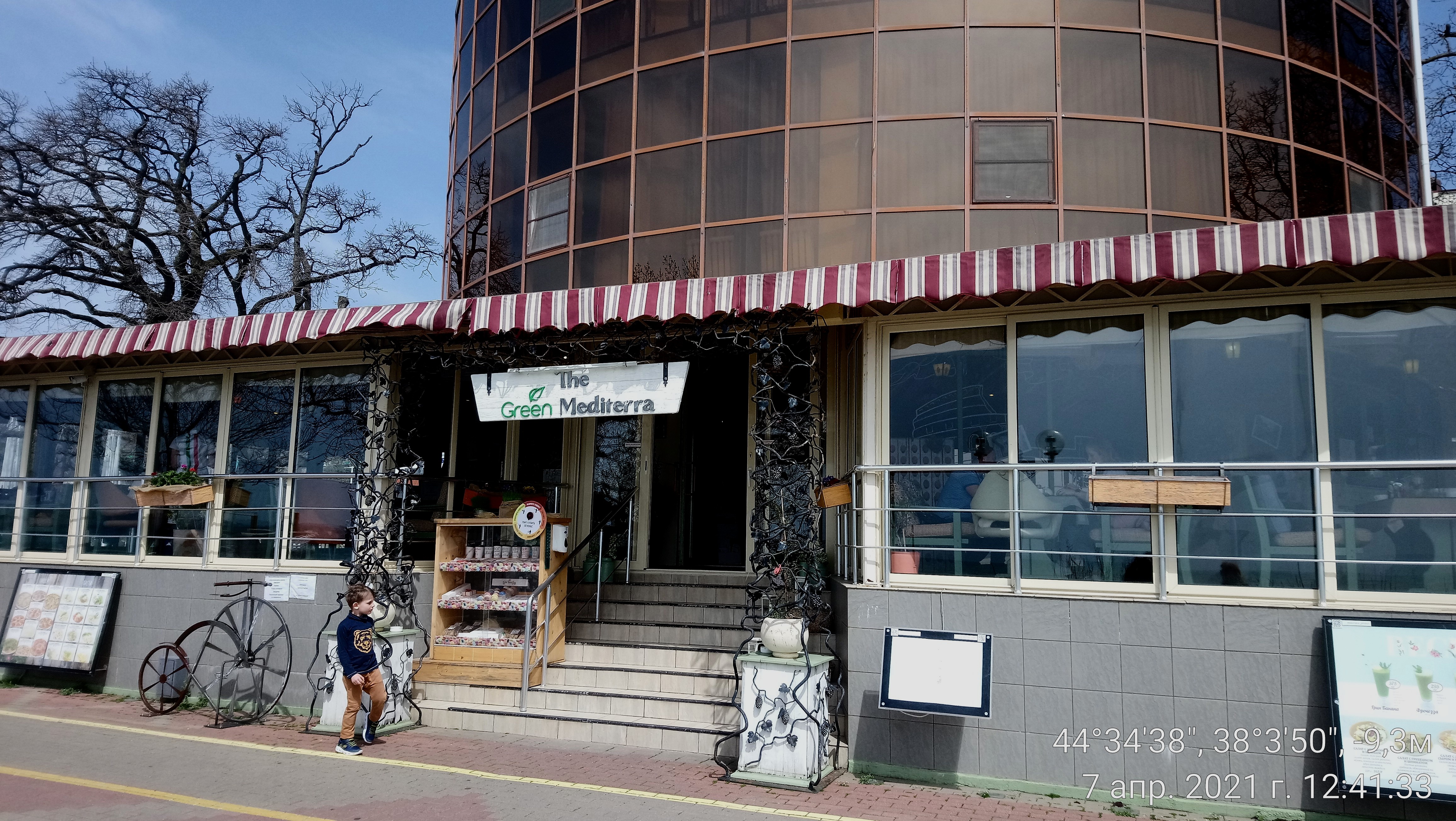 Фото Магнолия