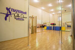 Shkola Pole Dance Pilonia (Bolshoy Tishinsky Lane, 38с1), dance school