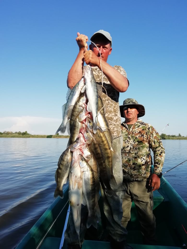 Фото Тортуга