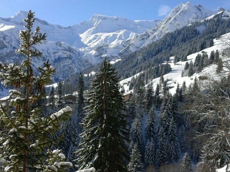 Hotel Apartment Adlerhorst Ch3715.710. 1, Adelboden, photo