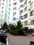 Apartment in historical centre (vulytsia Kompozytora Nishchynskoho, 16) ، سكن للإيجار اليومي