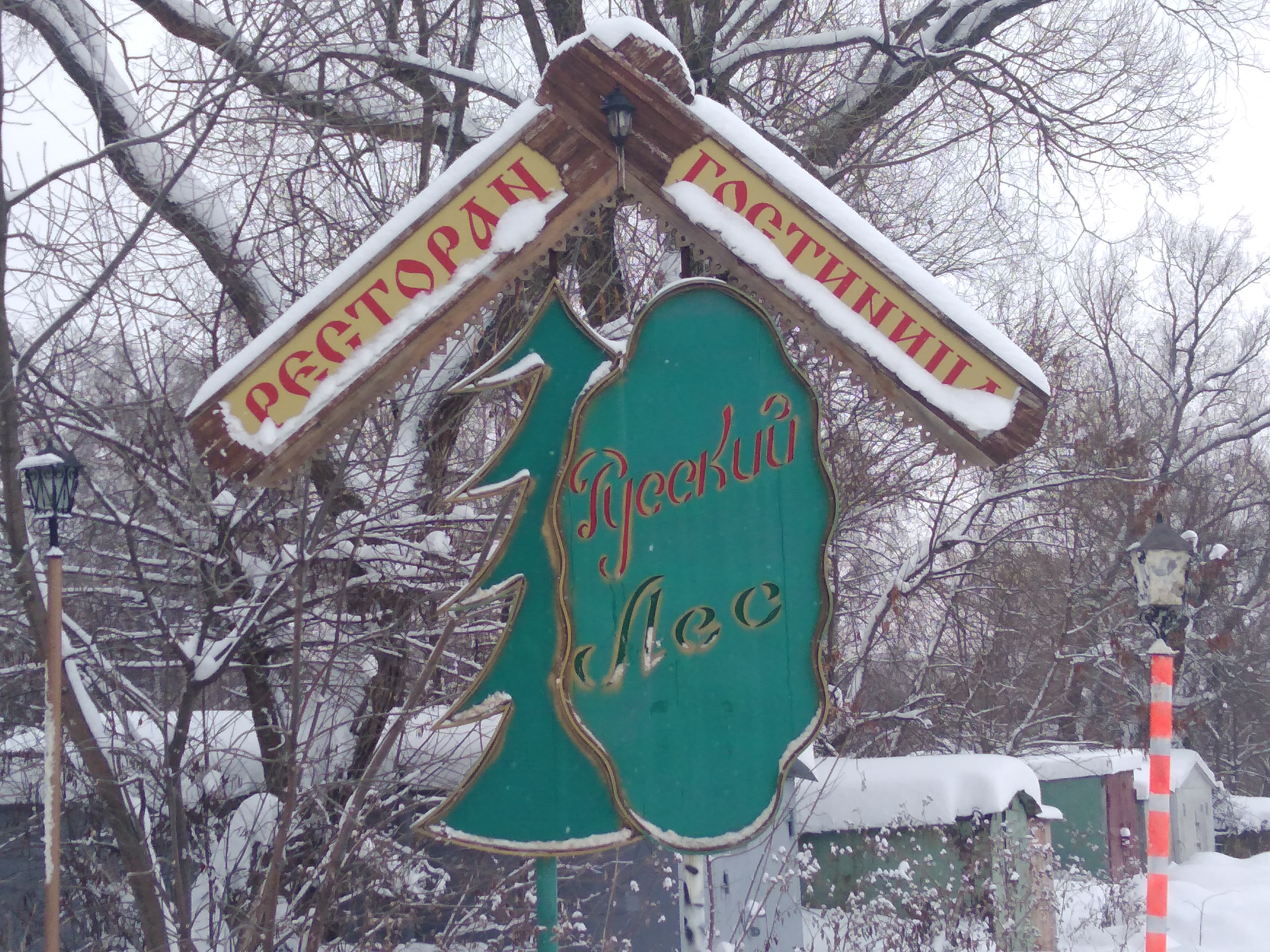 Фото Русский лес