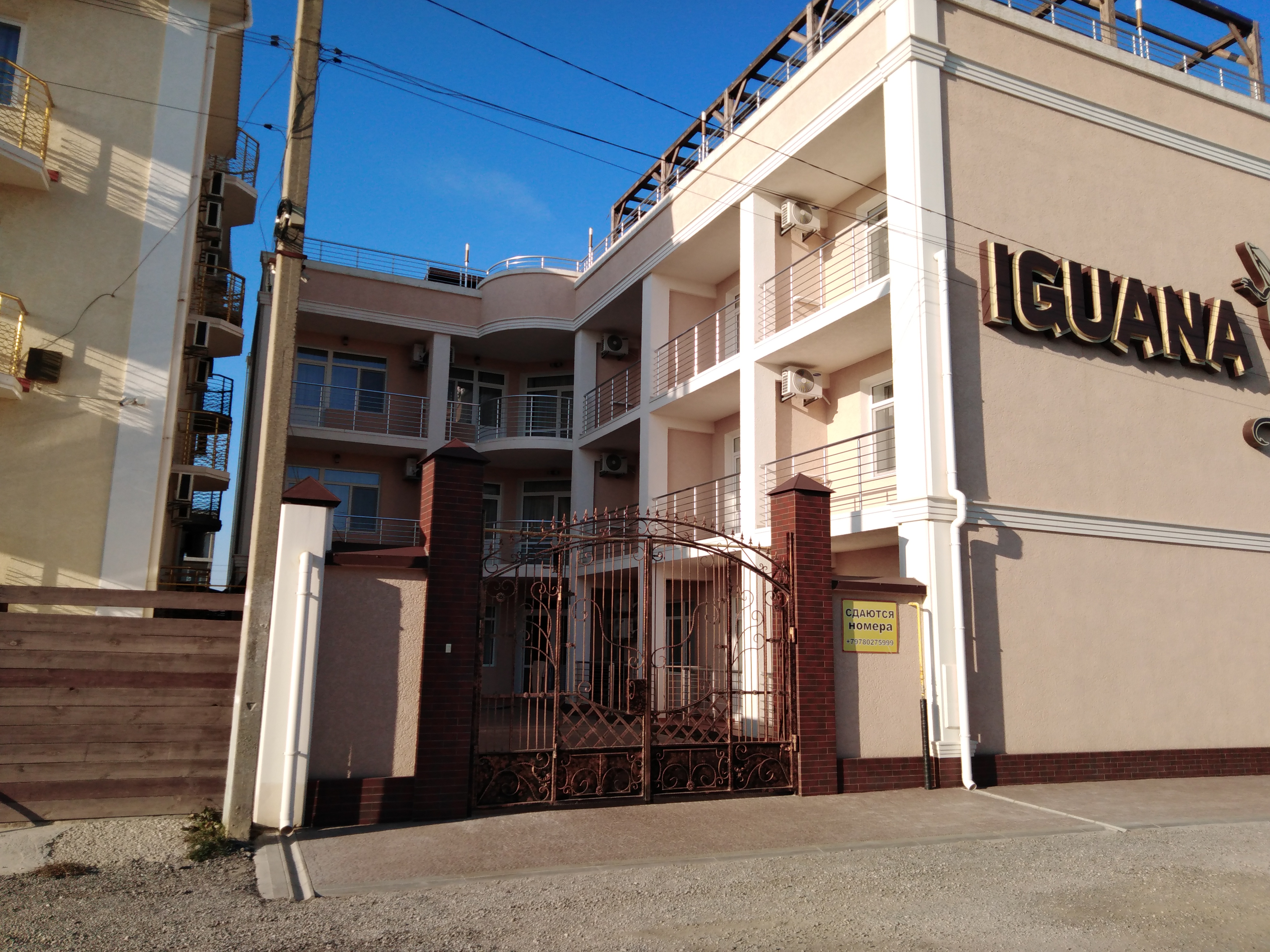 Фото Игуана