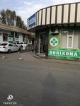 Pharmacy (Syrdarya Region, Gulistan, 3-mavze), pharmacy
