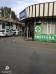 Pharmacy (Halima Xudoyberdiyeva koʻchasi, 103), pharmacy