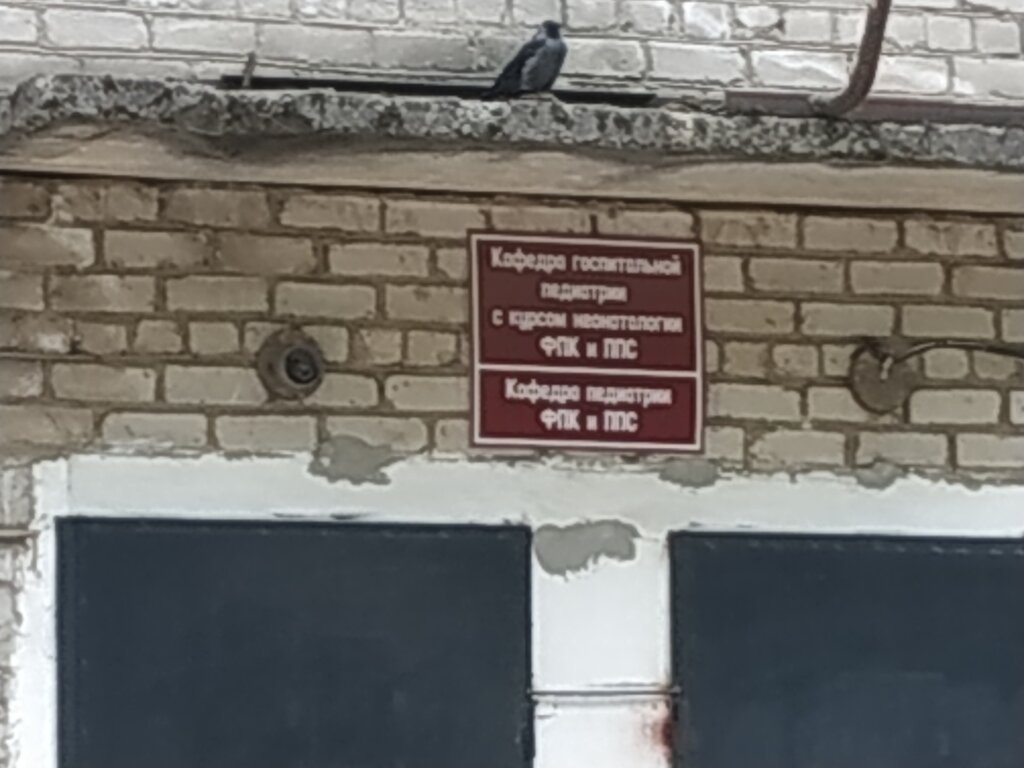 Education infrastructure Кафедра госпитальной педиатрии с курсом неонатологии ФПК и ППС, Smolensk, photo