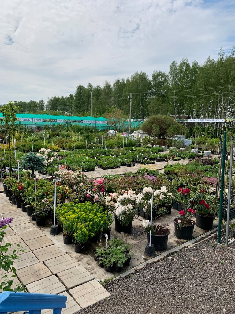 مشتل Nursery of ornamental plants Korni ، مقاطعة تولا، صورة