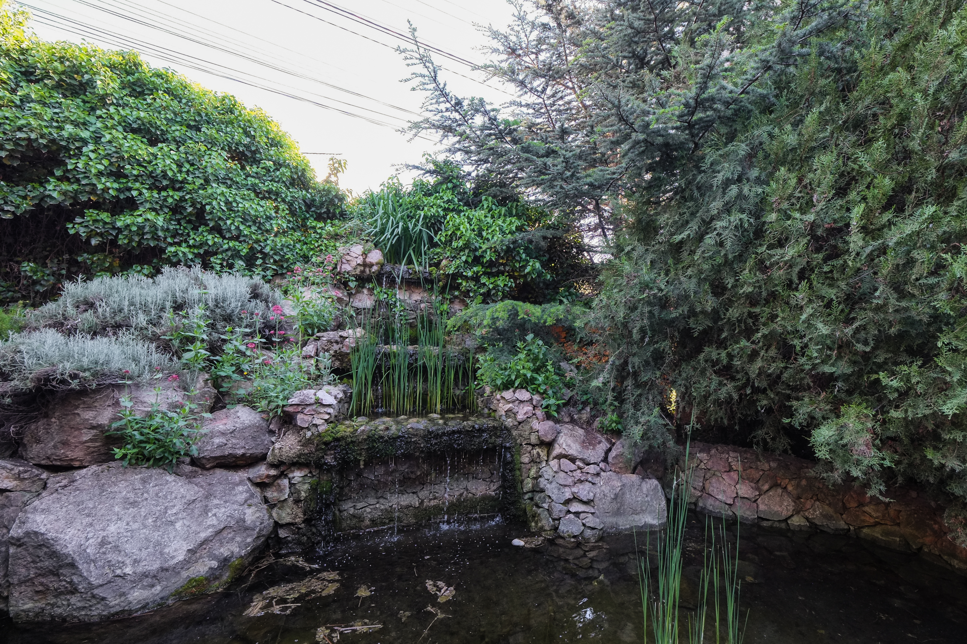 Фото Качинская