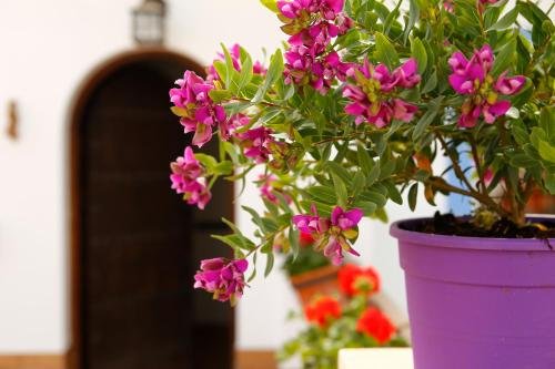 Фото La Casa Del Rio