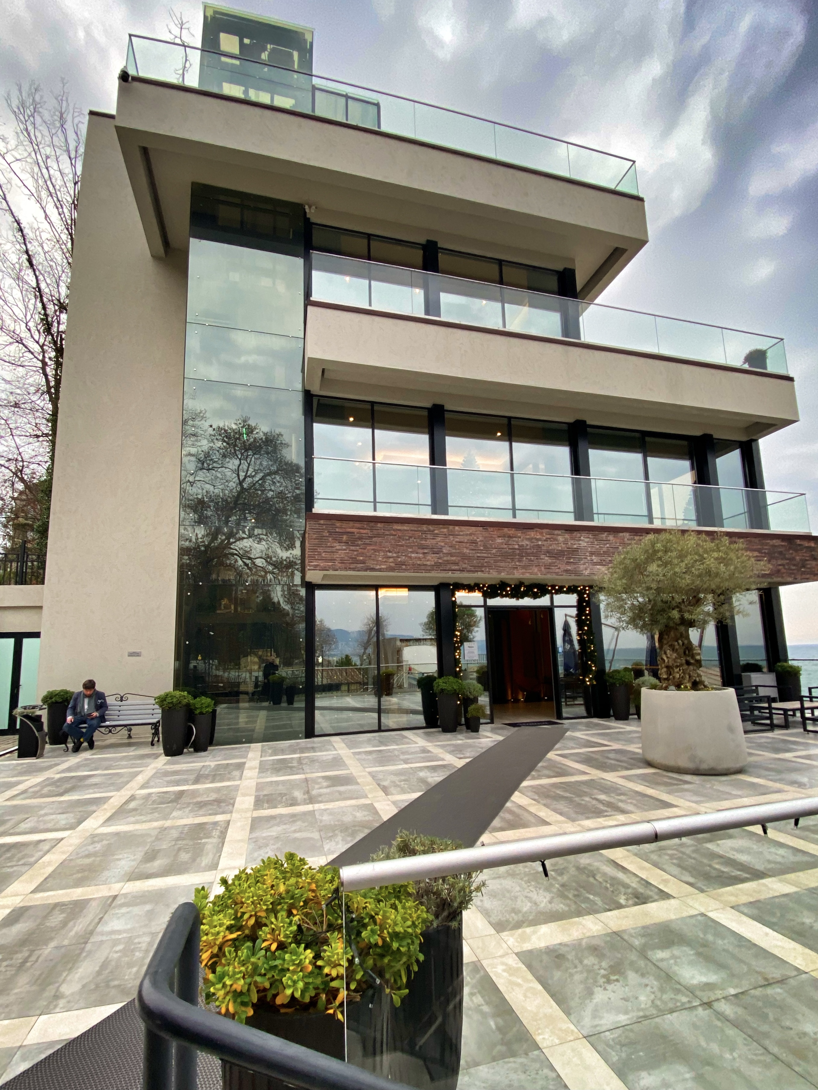 Фото Полёт Чайки