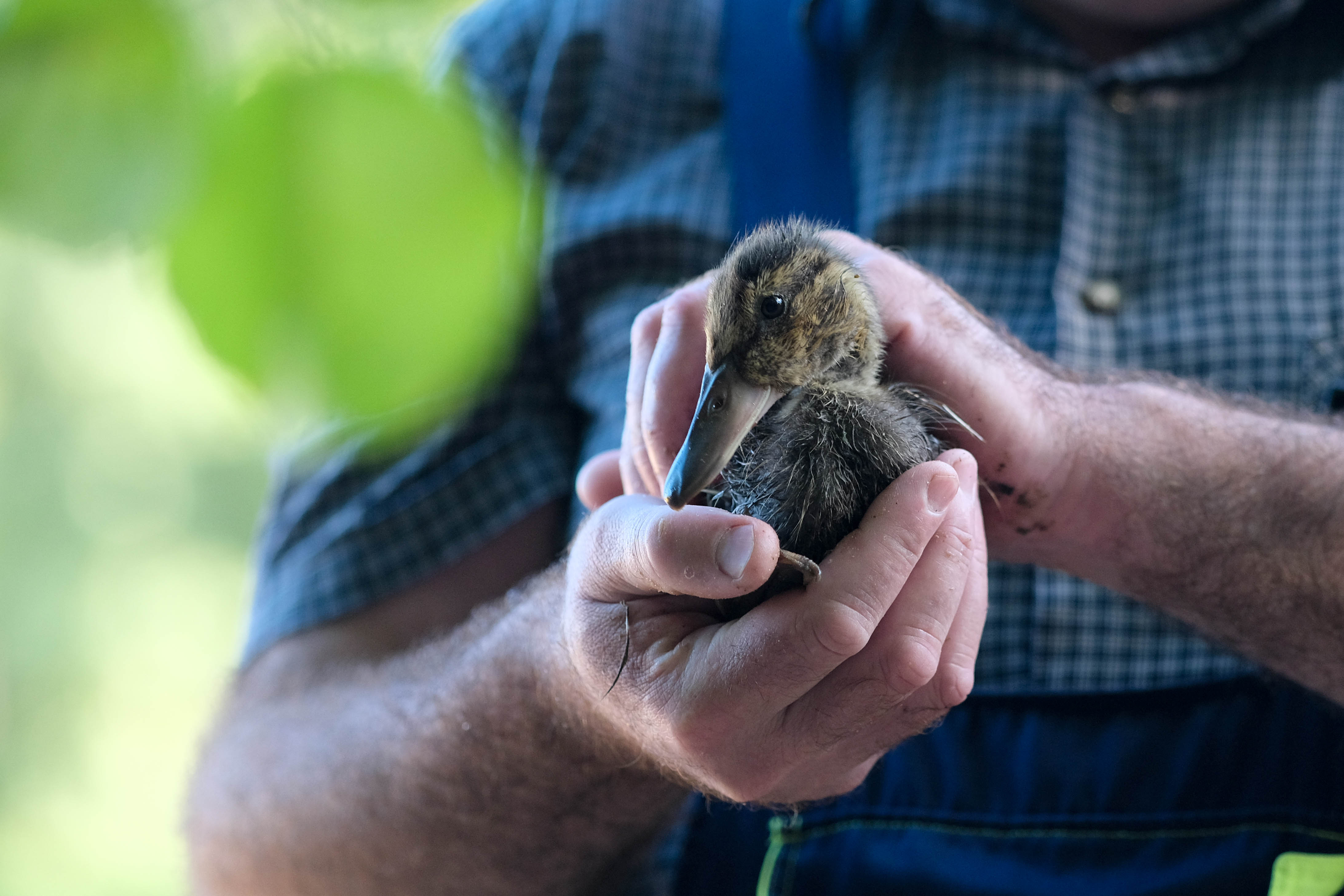 Фото Арт-Усадьба Веретьево