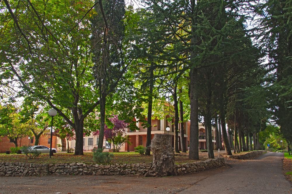 Фото Hotel Villa Del Cardinale