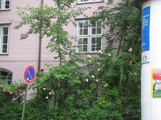 Фото Boardinghouse Refugium