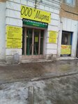 Mirta (ulitsa Lomakina, 32), printing services