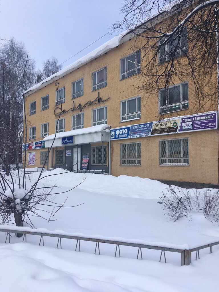 محاسبون Tsentralizovannaya bukhgalteriya Glavbukh ، ، صورة