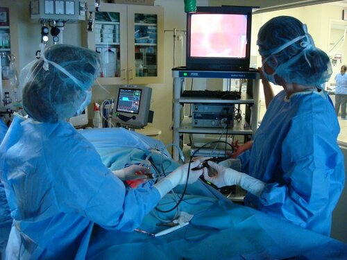 Vca referral center 2025