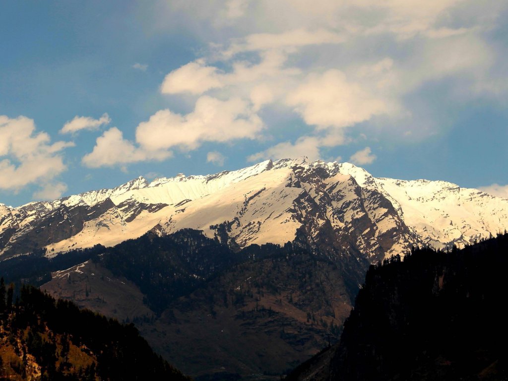 Фото The Manali Lodge