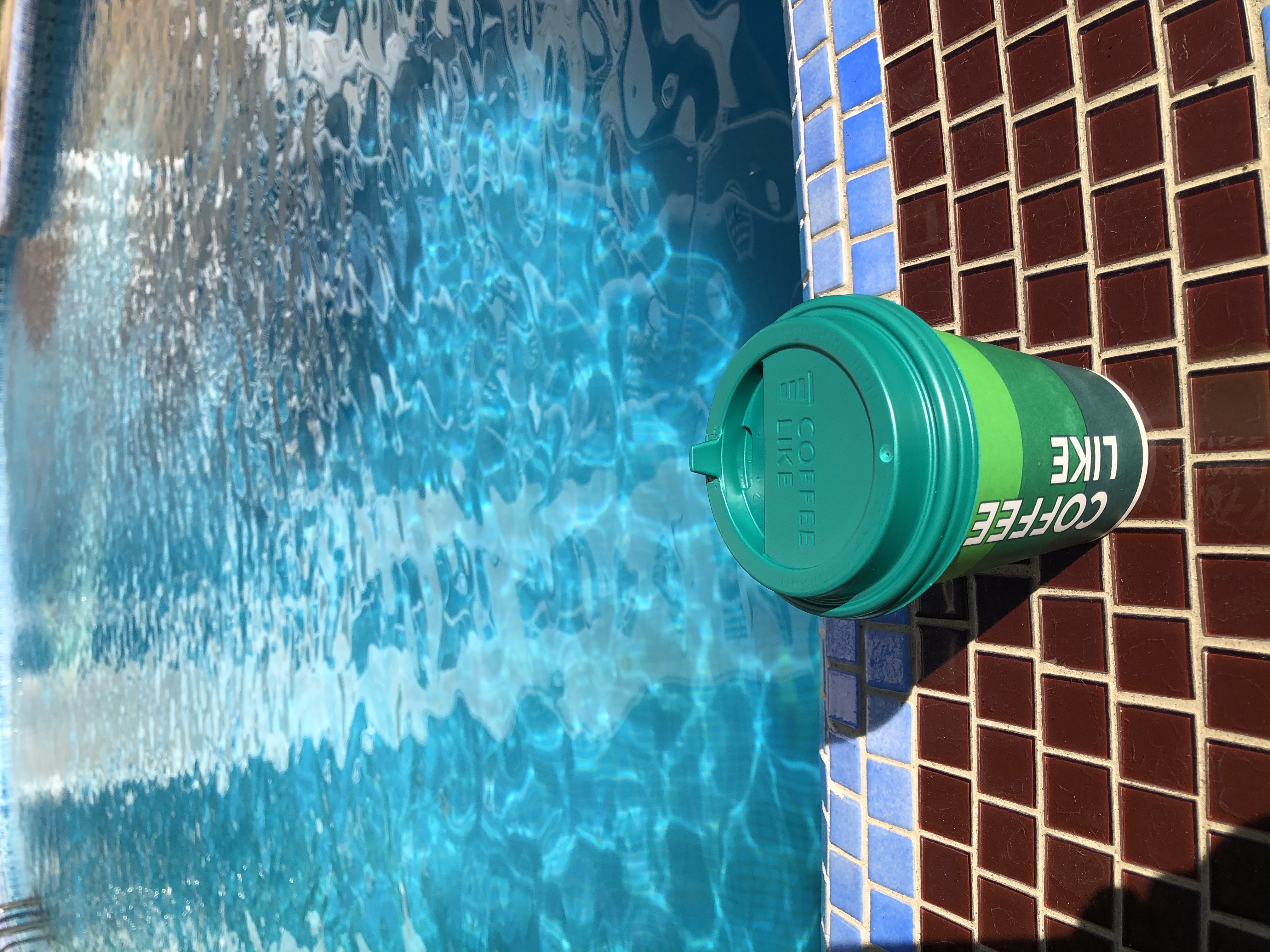 Фото Анна-вояж