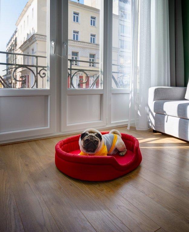 Фото Colors Central Ladadika