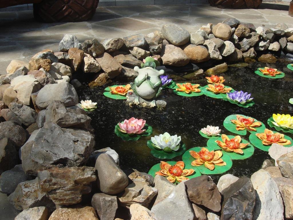 Фото Сосновый Бор