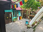 Mommy Momo Garden (Zaschitnikov Kavkaza Street, 76) ، مقهى