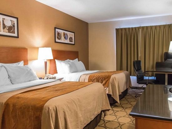 Фото Comfort Inn Hwy 401