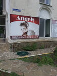 Ангел (ulitsa Makarenko, 16), hairdresser