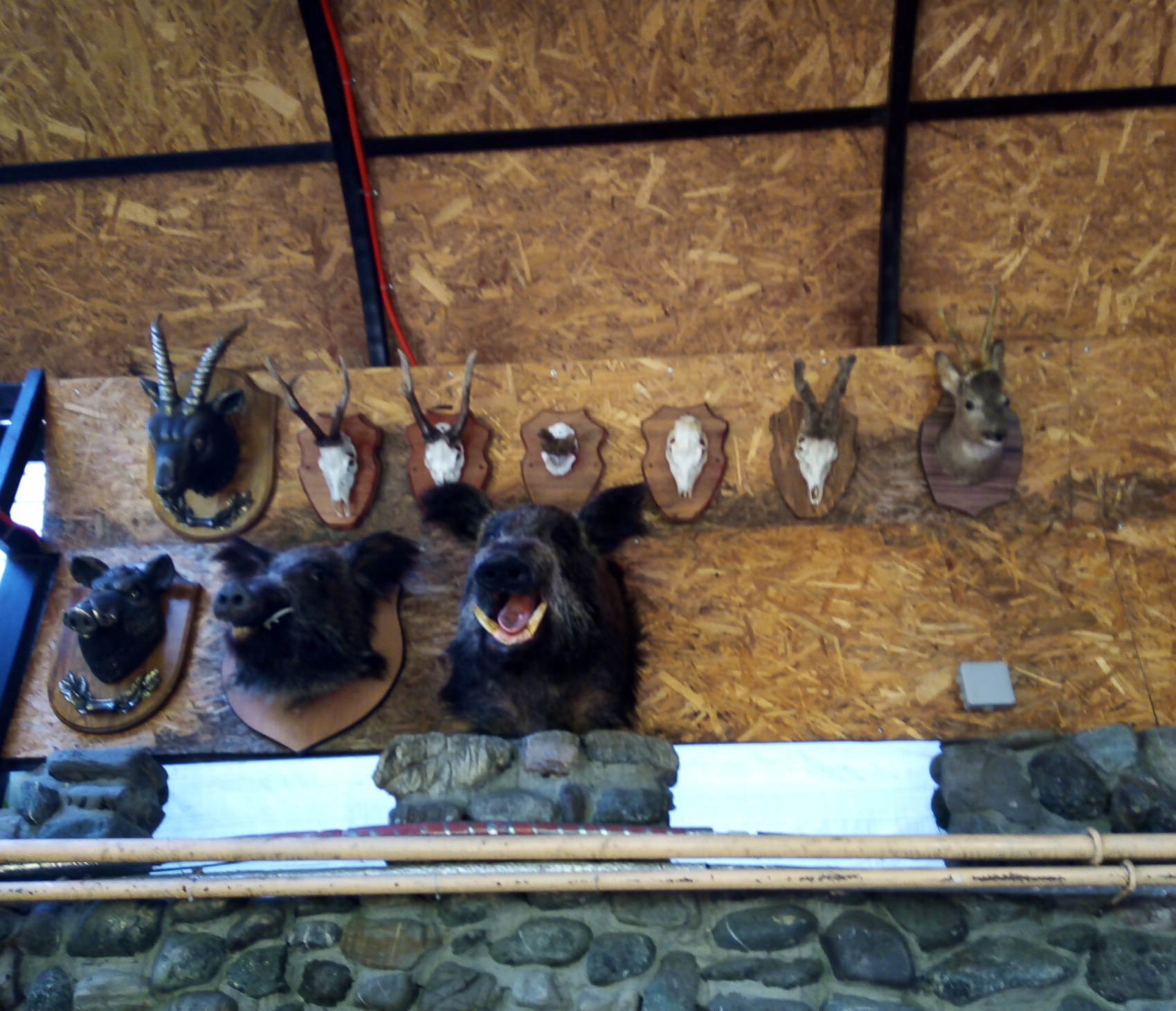 Фото Форт Артур