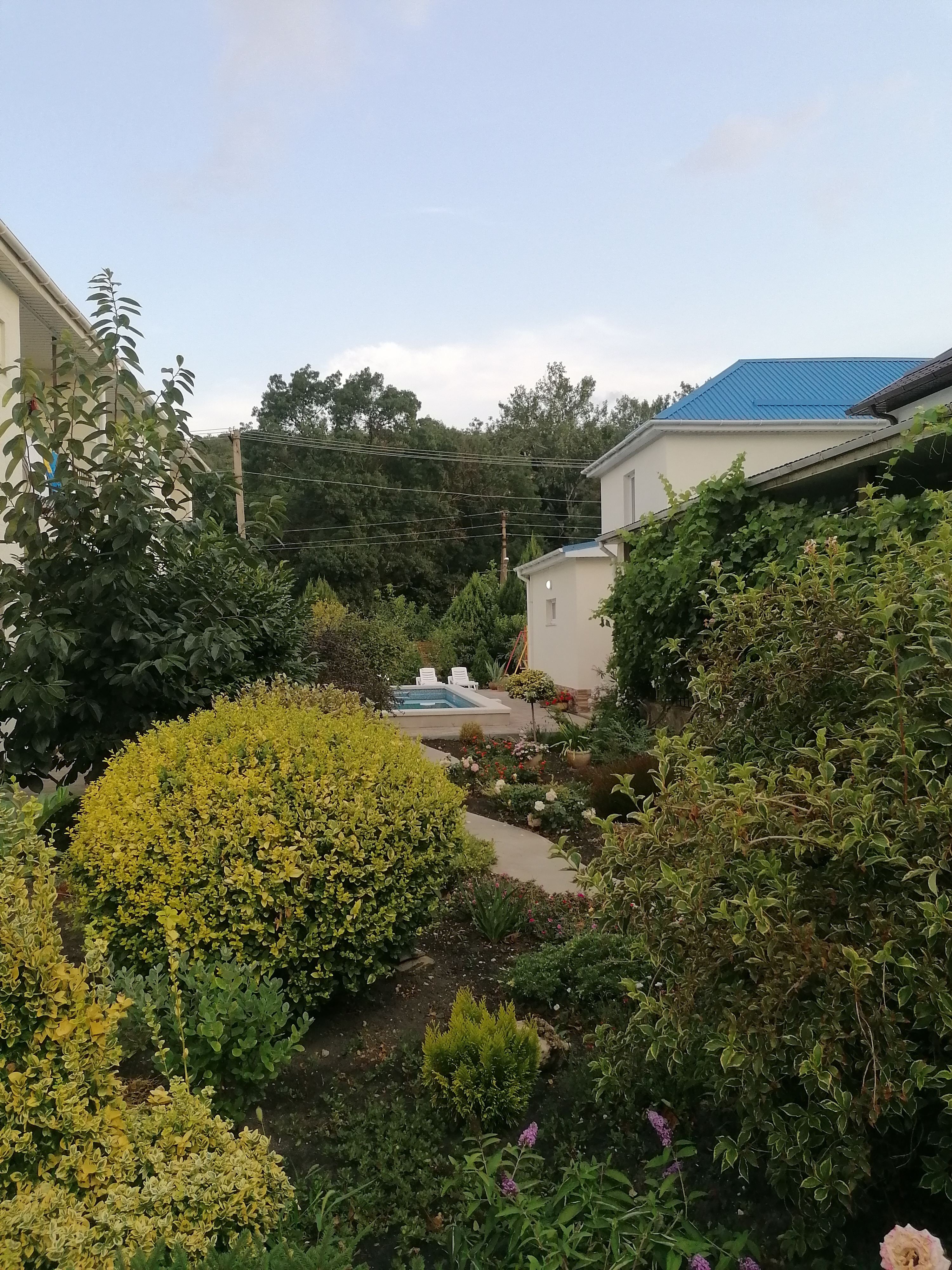 Фото Ангелина