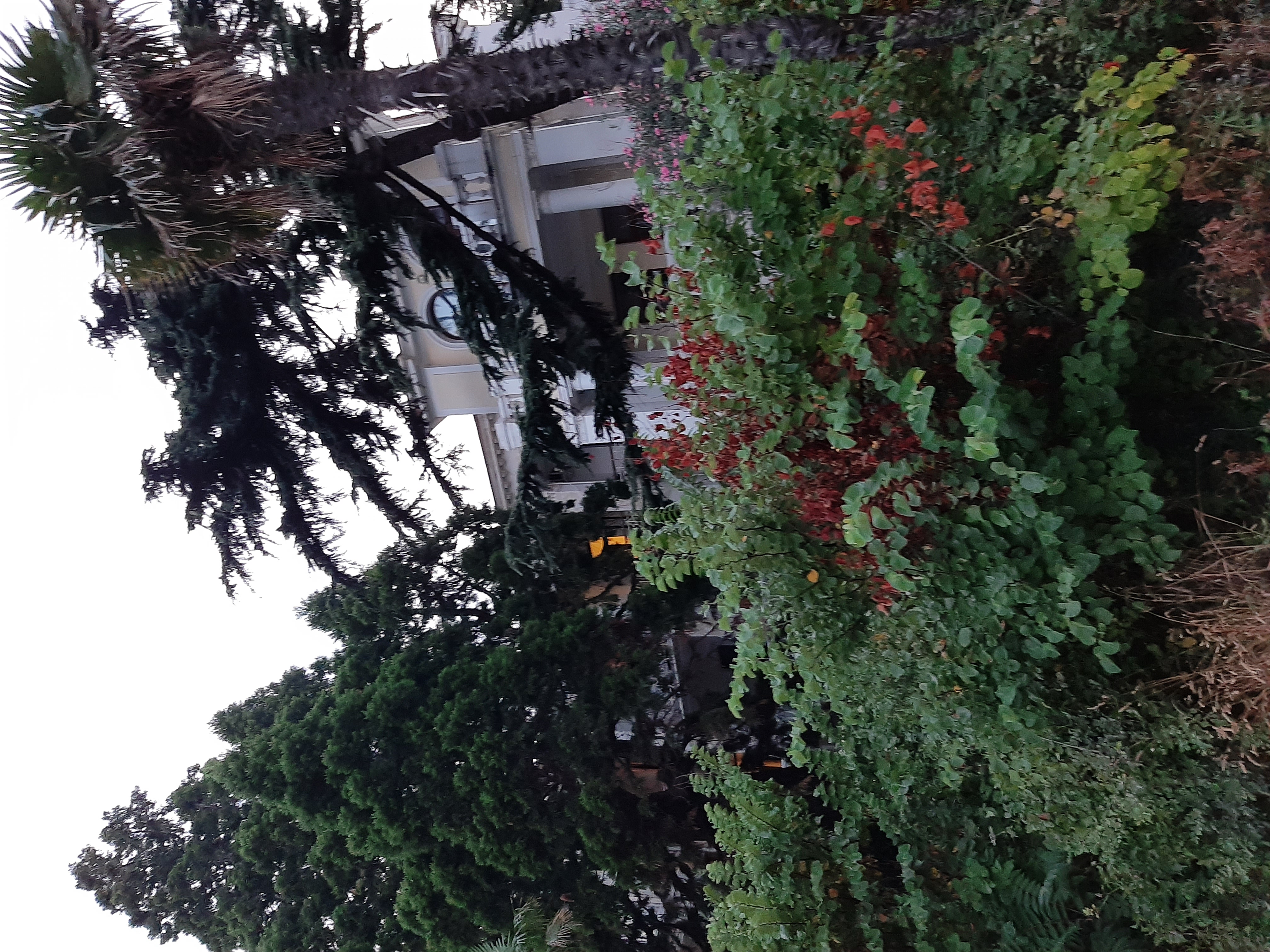 Фото Лиго Морская