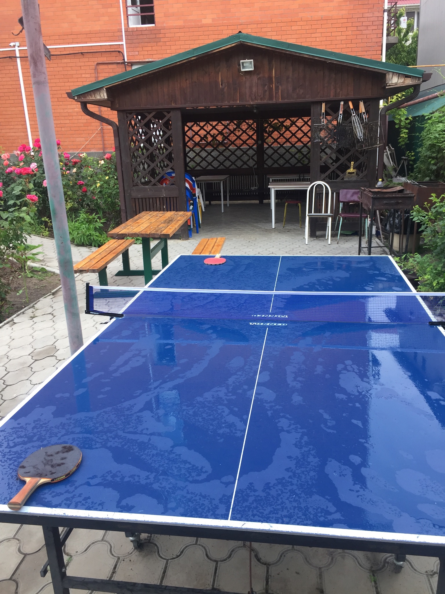 Фото Светлана