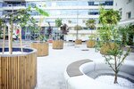Terra Box (Kulakov Lane, 9Ас1), landscaping of premises