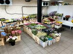 Цветочная площадь (Rizhskaya Square, 9с2), flower market
