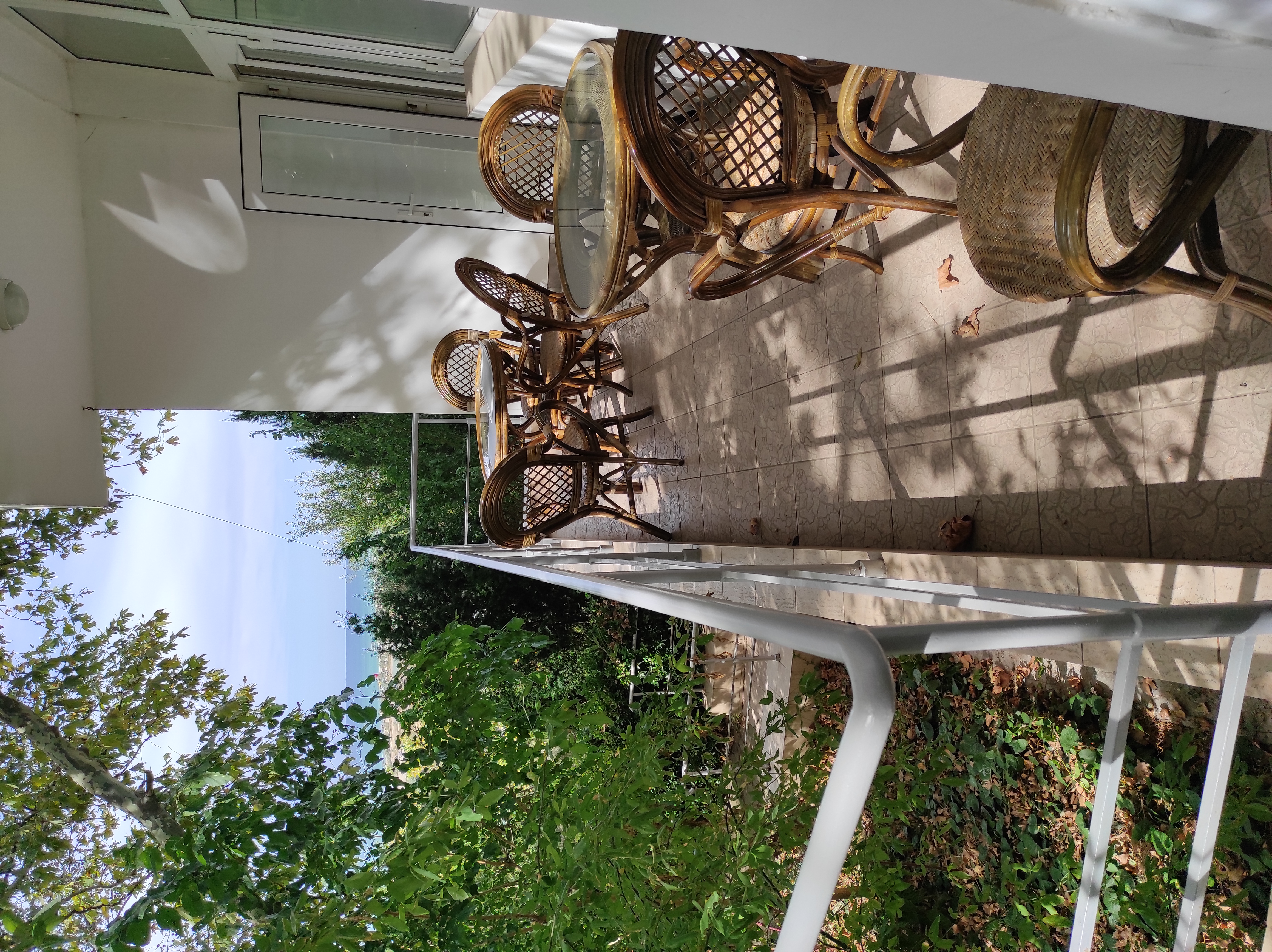 Фото Альбатрос