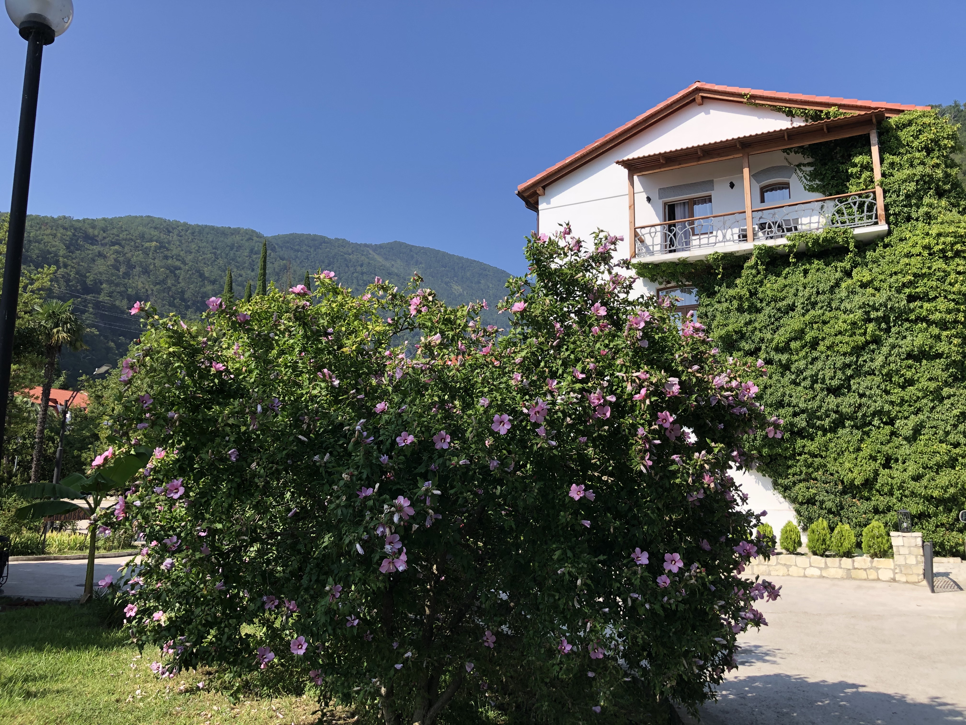 Фото Абаата