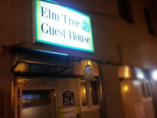 Гостиница Elm Tree Guest House Myeongdong