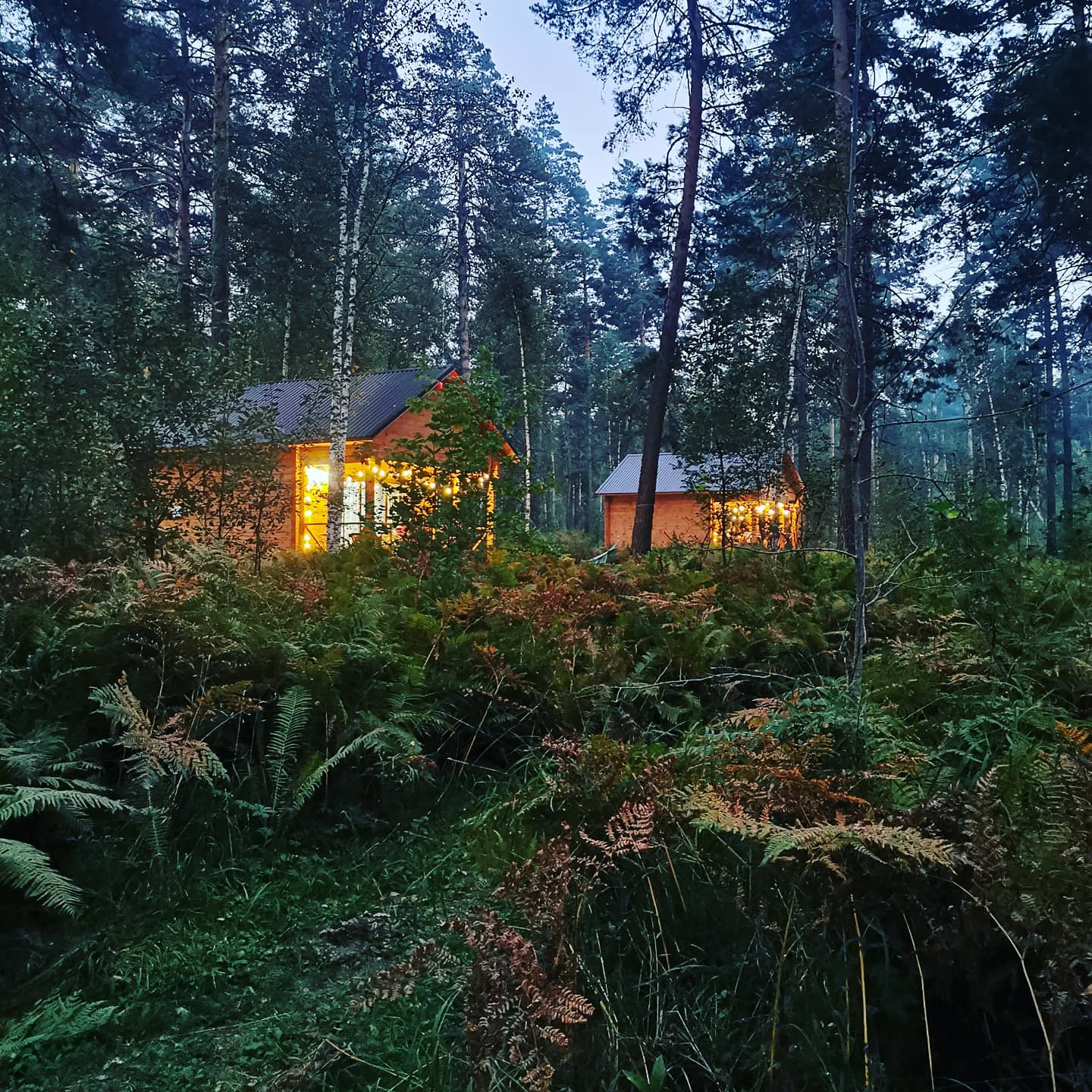 Фото Таналтай