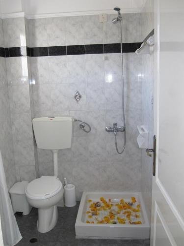 Фото Villa Nikos Karamolegkos