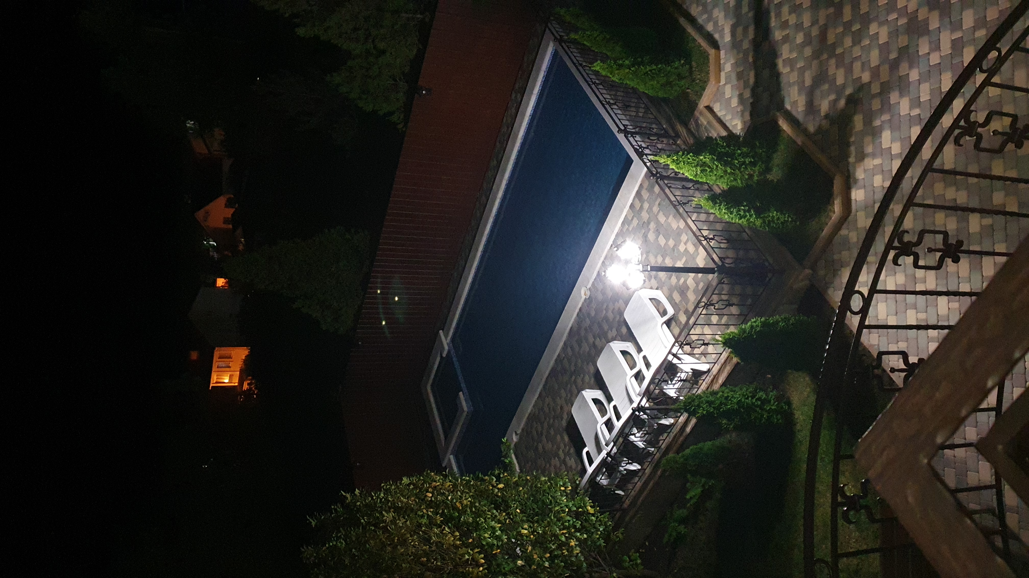 Фото Альбатрос