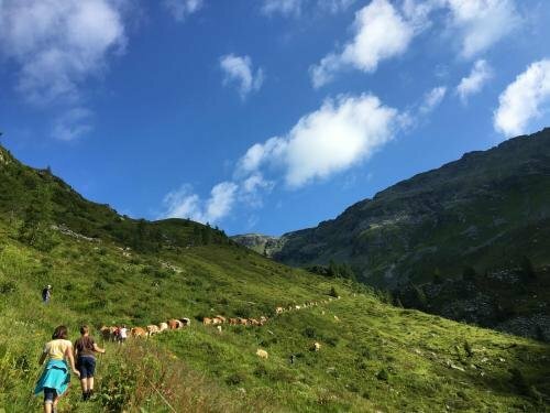 Гостиница Bauernhof - Pension Stauder - vlg. Oberrauter