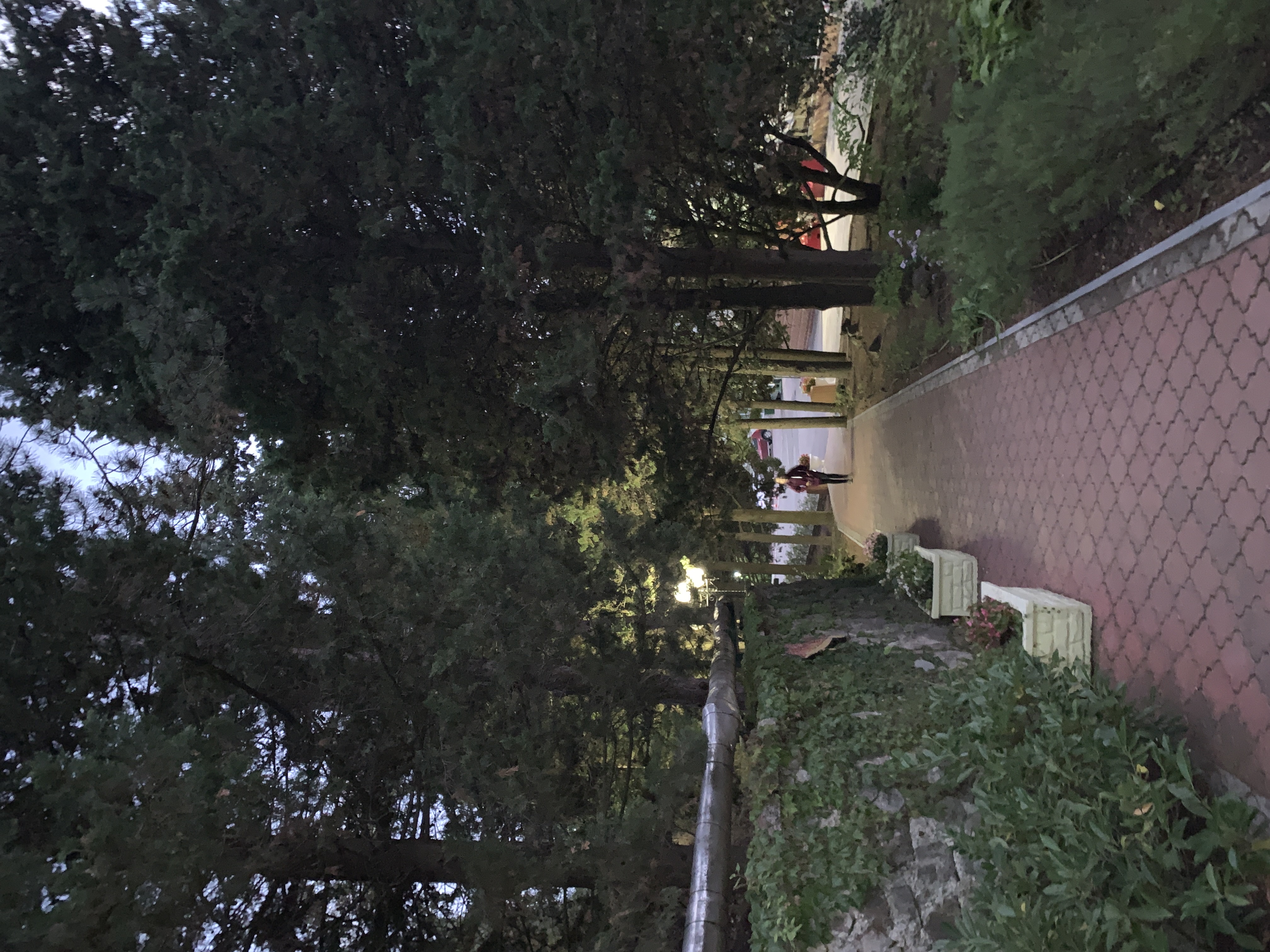 Фото Алые Паруса