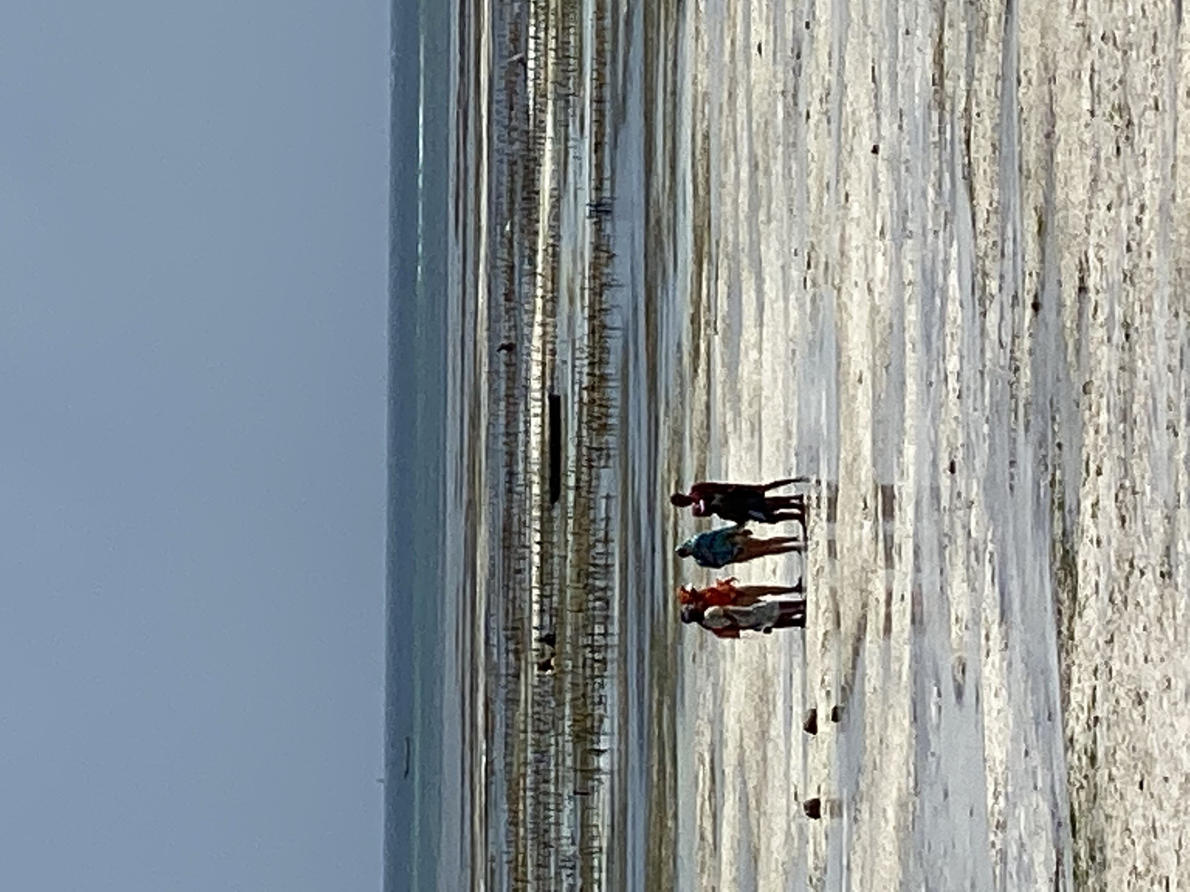Фото Samaki Lodge