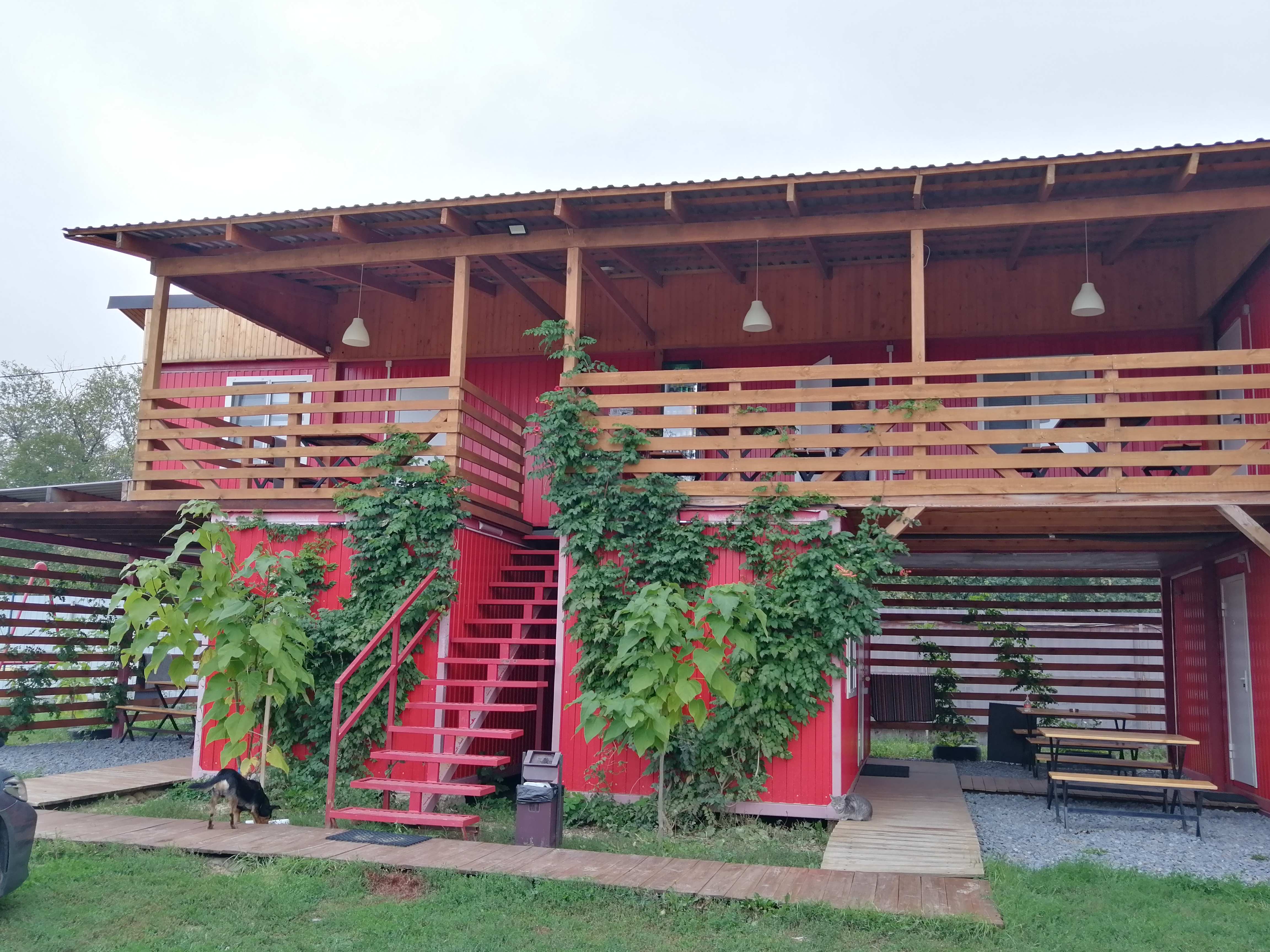 Фото Добрыня