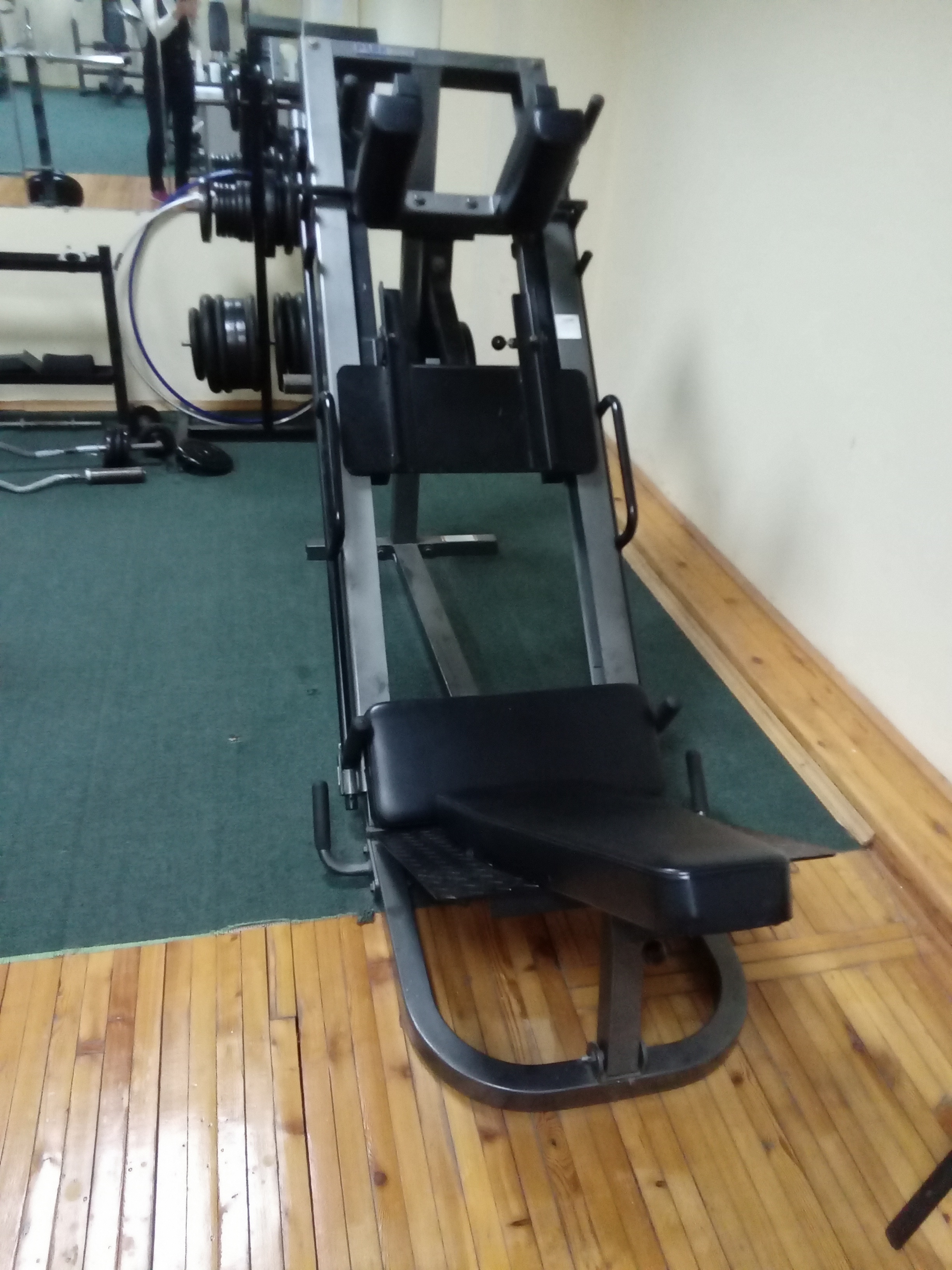 Фото Лесной